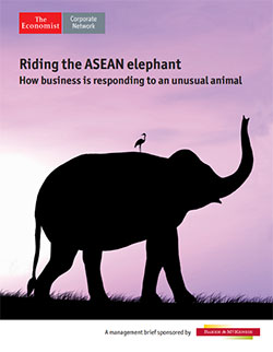 Riding the ASEAN elephant report