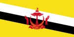 Brunei flag & emblem