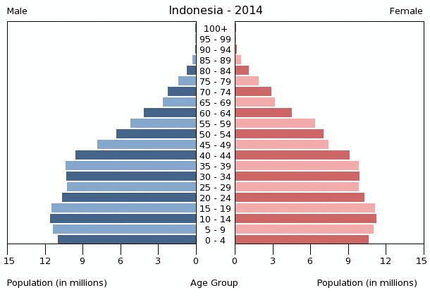 Indonesia population pyramid 2014