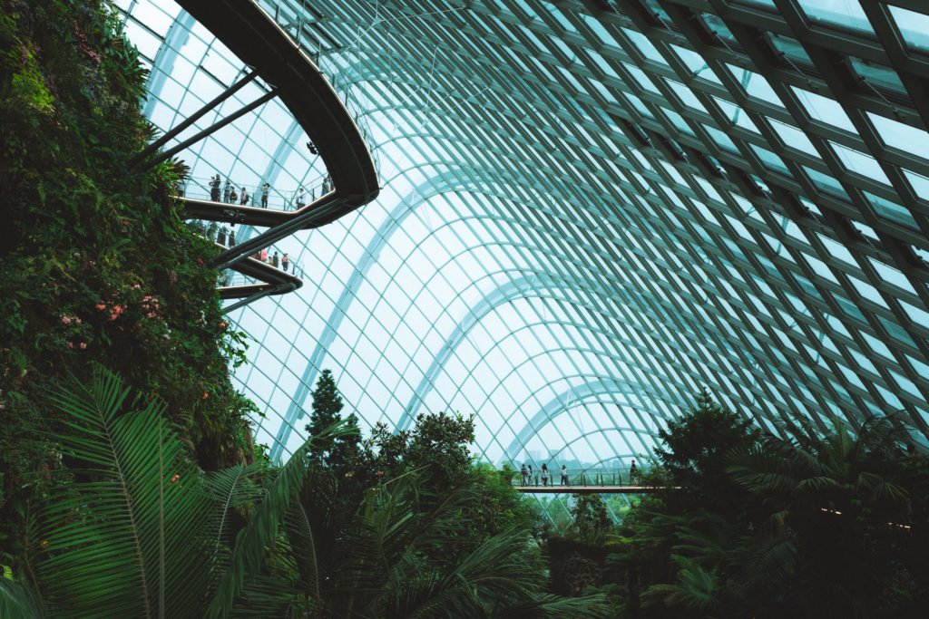 Gardens by the bay catwalk