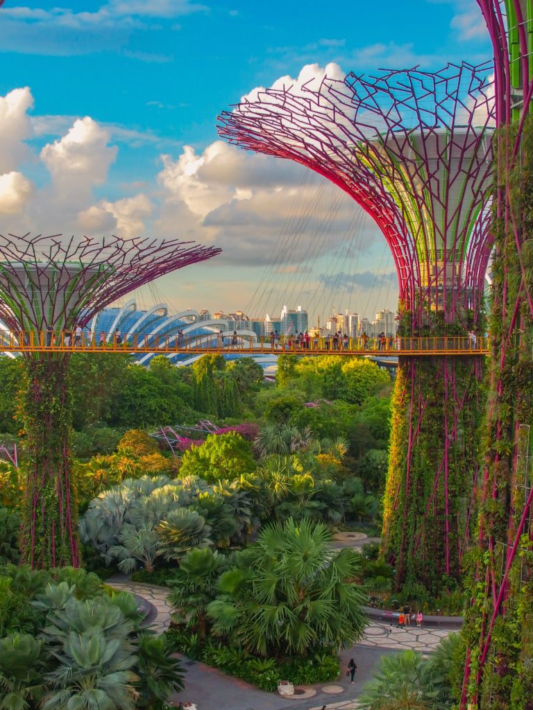 Gardens by the bay trees