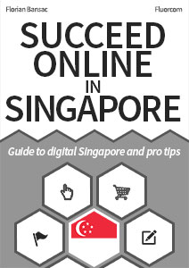 Succeed online in Singapore - eBook cover