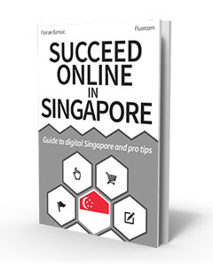 Succeed online in Singapore – eBook 3D